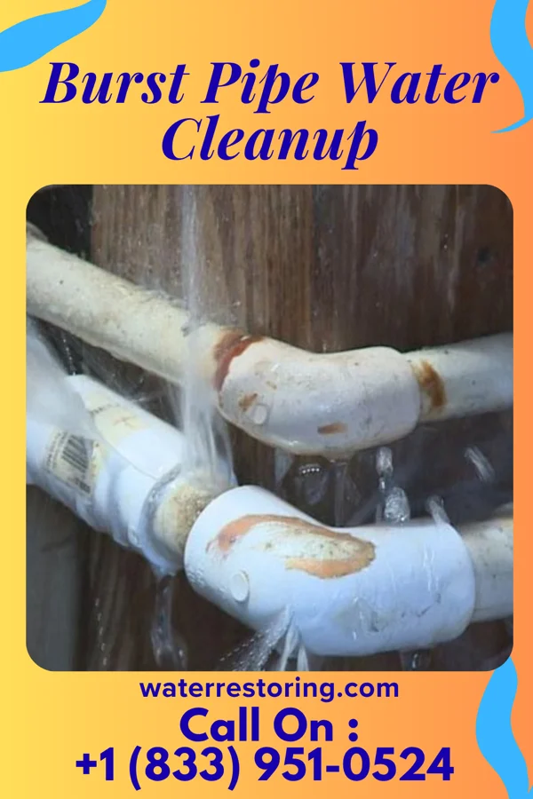 Burst Pipe Water Cleanup in Perrysville, IN